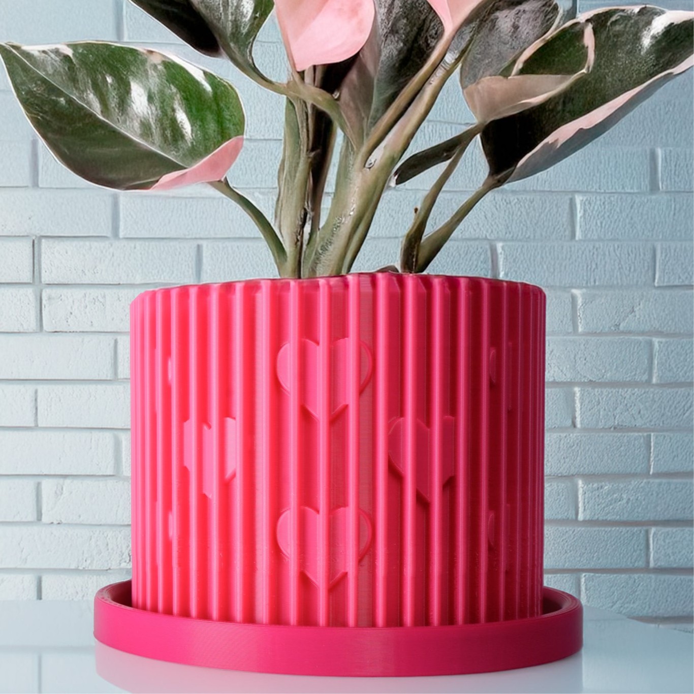 Rosebud HomeGoods Modern Heart Planter with Saucer – Ribbed 3D Printed Home Decor - Apparel & Accessories Planter