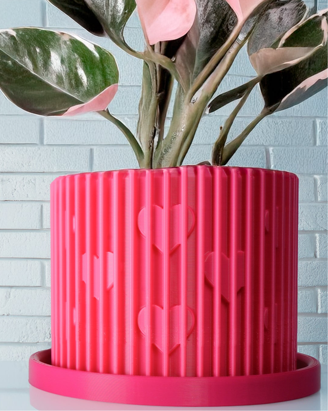 Rosebud HomeGoods Modern Heart Planter with Saucer – Ribbed 3D Printed Home Decor - Apparel & Accessories Planter