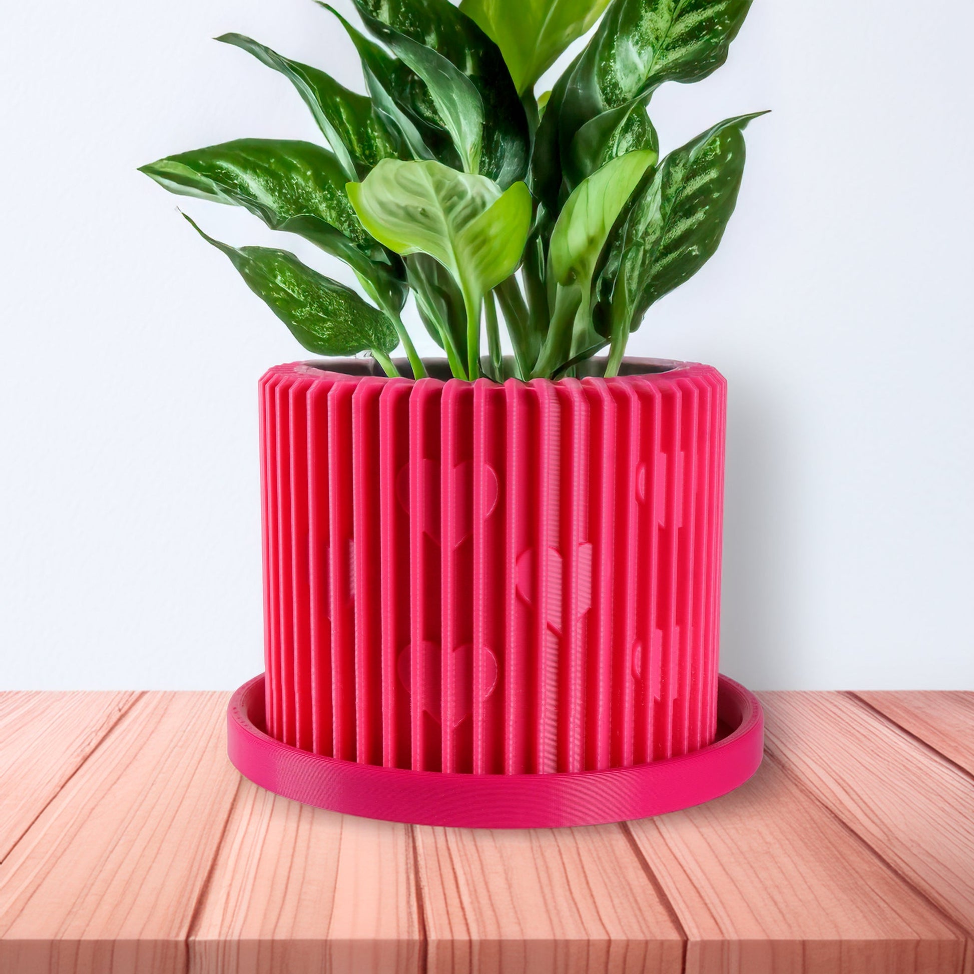 Rosebud HomeGoods Modern Heart Planter with Saucer – Ribbed 3D Printed Home Decor - Apparel & Accessories Planter