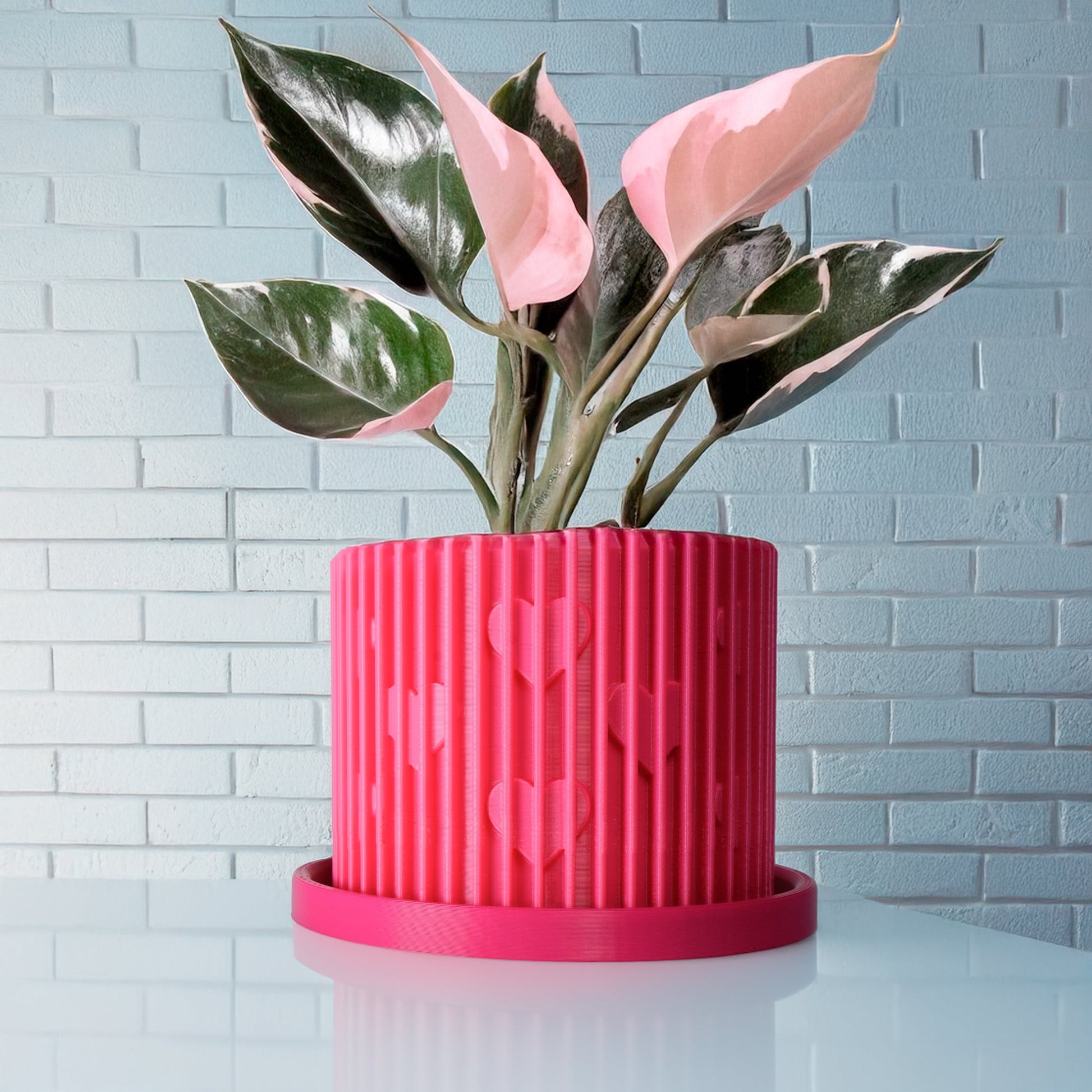 Rosebud HomeGoods Modern Heart Planter with Saucer – Ribbed 3D Printed Home Decor - Apparel & Accessories Planter